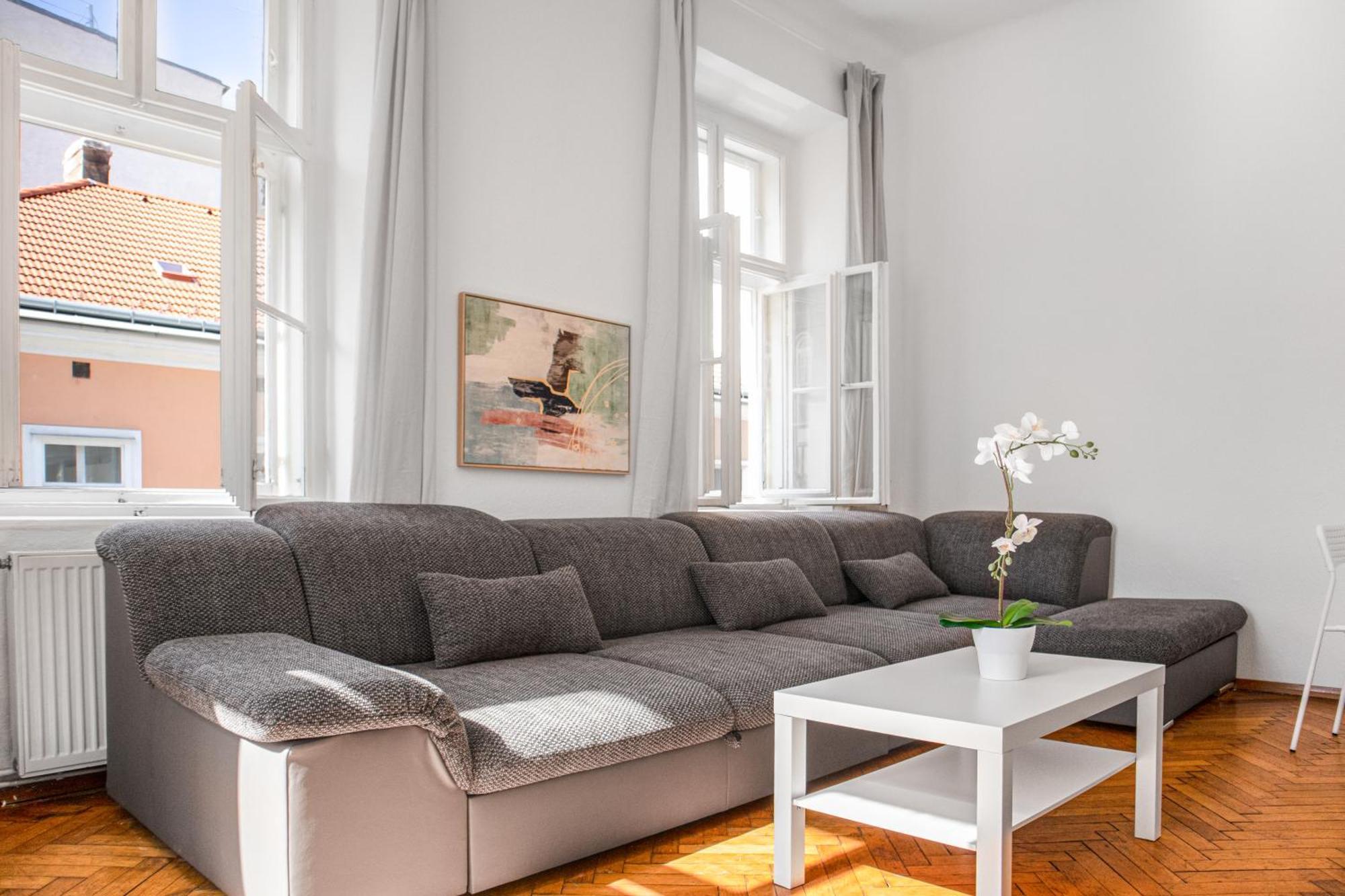 Stylish Multi Perfect For Group Apartment *