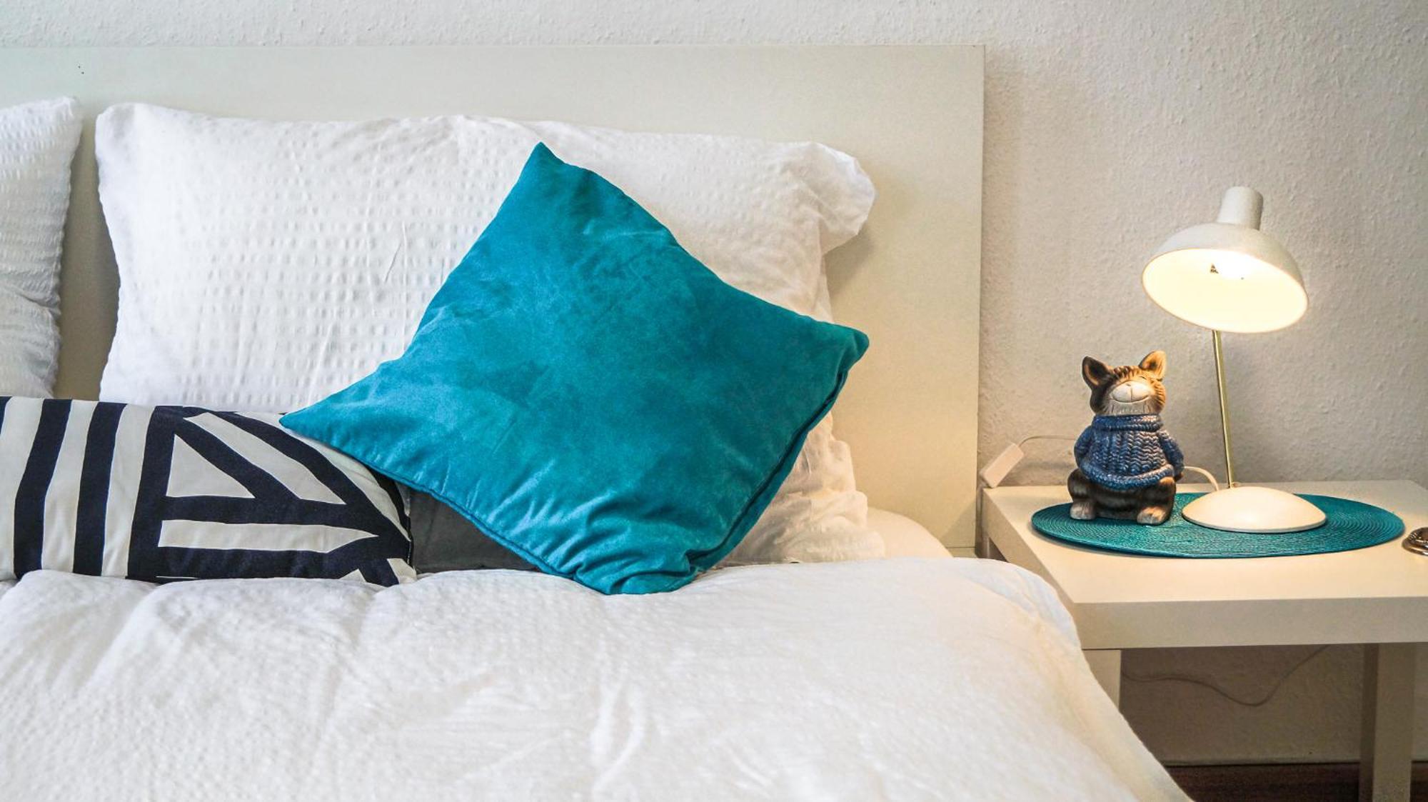 Apartment Stylish Multi Perfect For Group